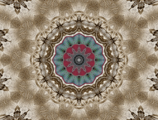 652428 (a): :1713x1298